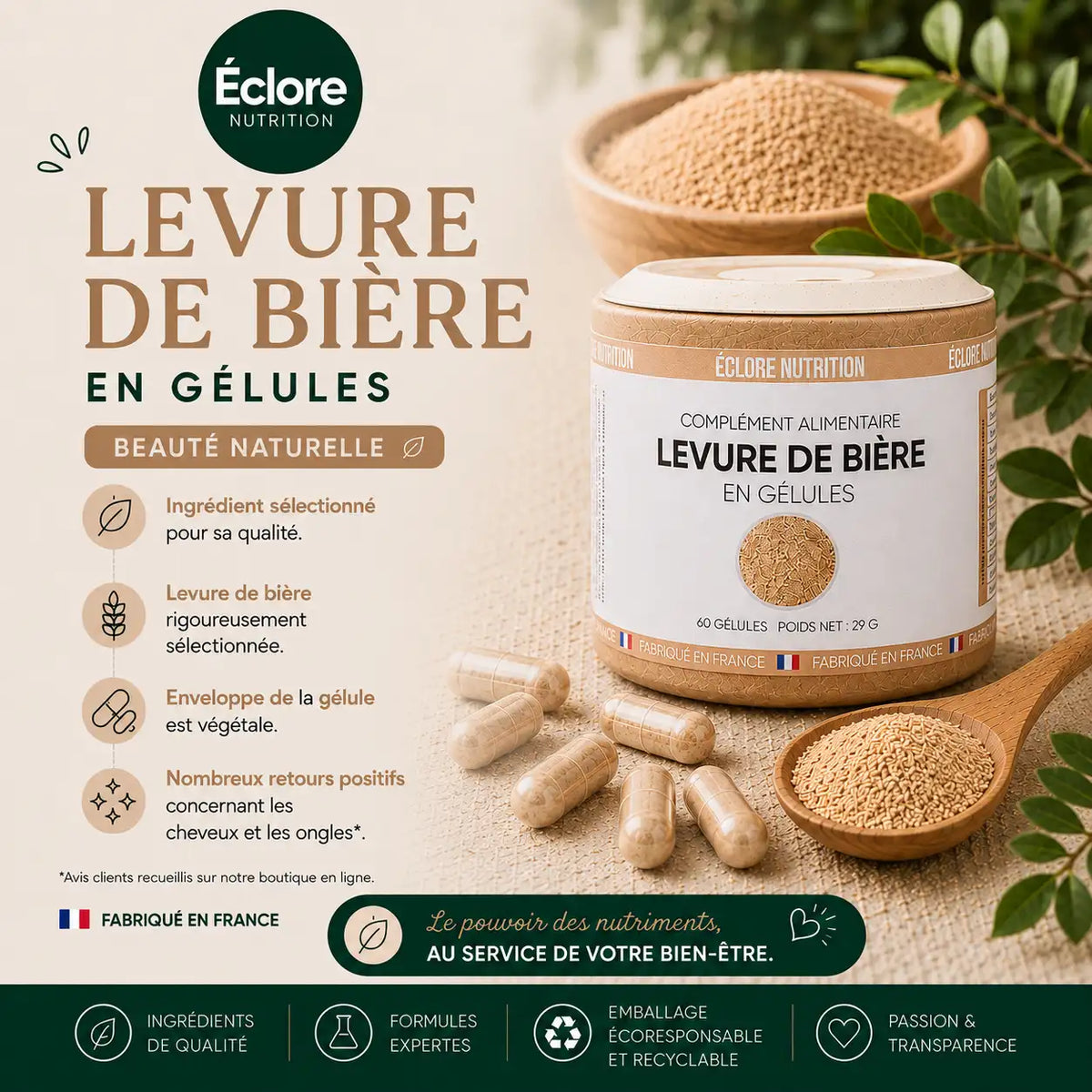 Levure de bière Française