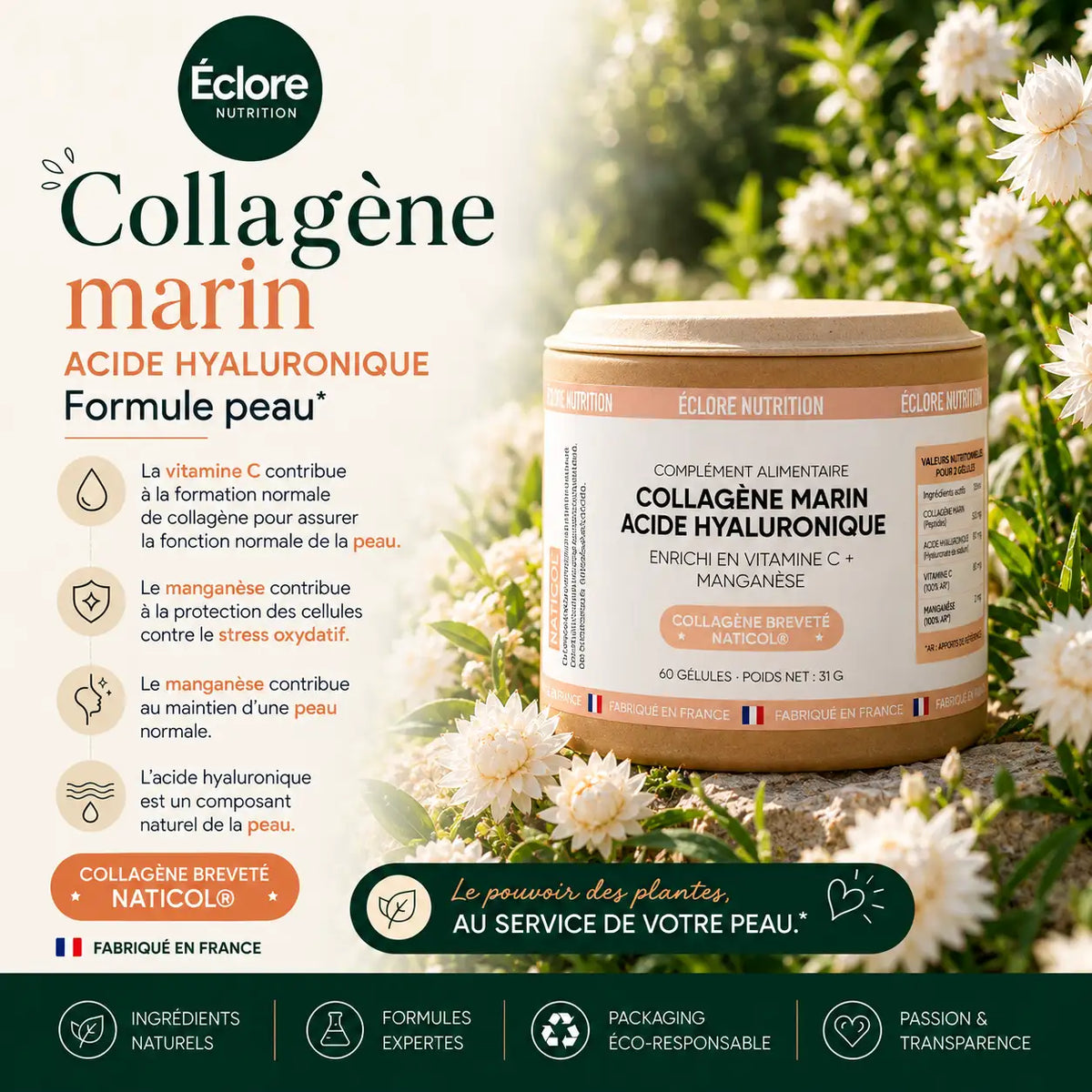Efficacité du collagène marin