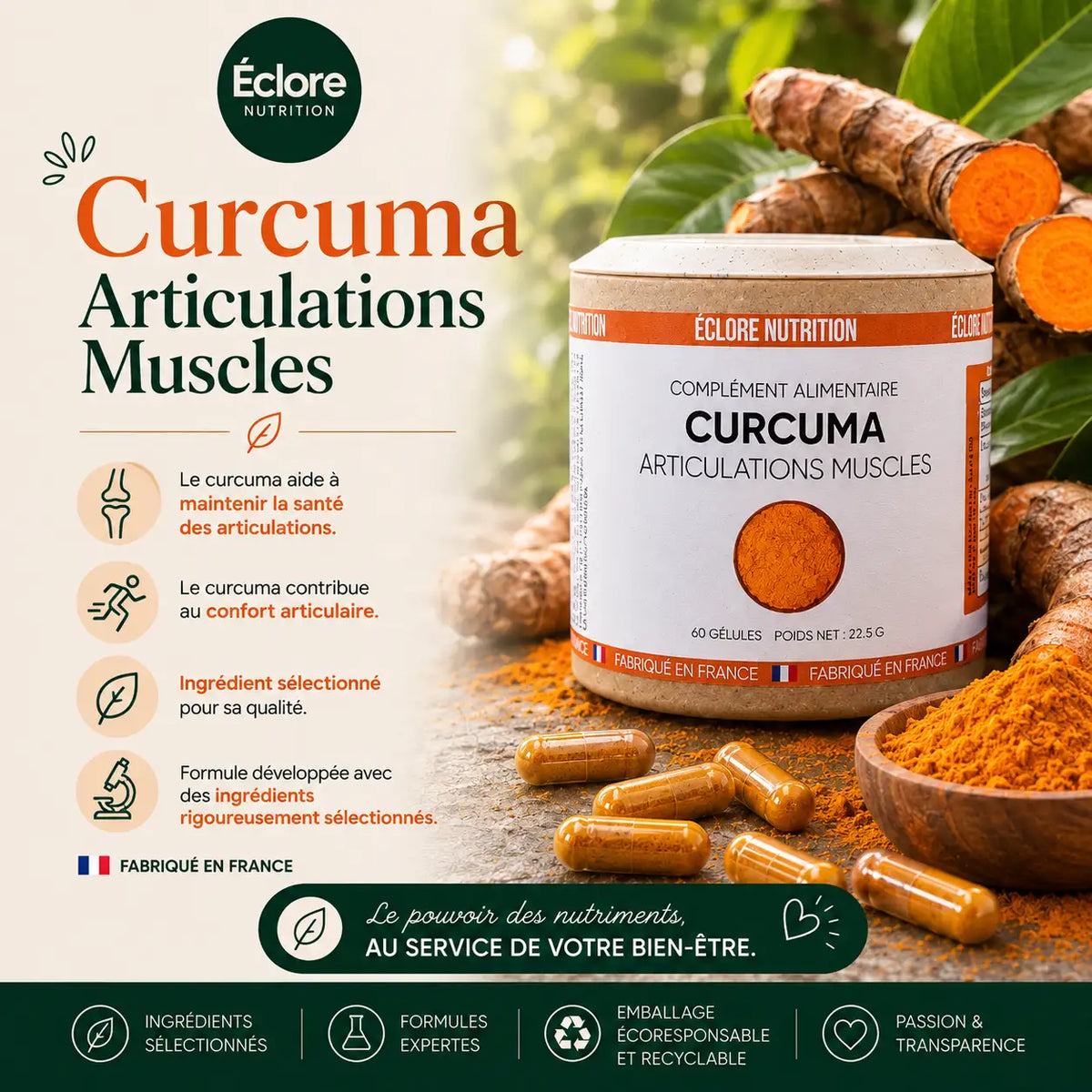 Quels sont les bienfaits du curcuma ?