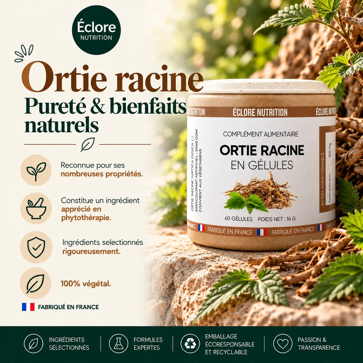Racine d’ortie en complément alimentaire naturel