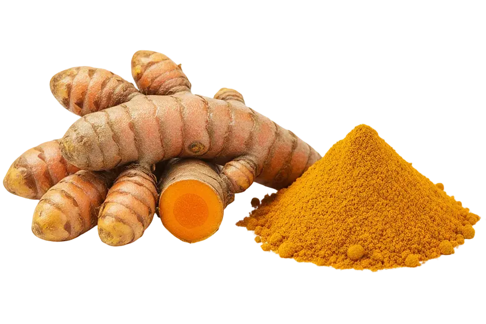 Complément alimentaire Éclore Nutrition au curcuma, plante traditionnellement utilisée pour ses propriétés naturelles.