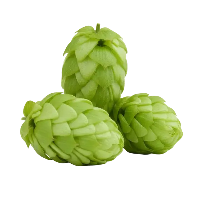 Complément alimentaire Éclore Nutrition à base de houblon, plante reconnue pour ses propriétés apaisantes.
