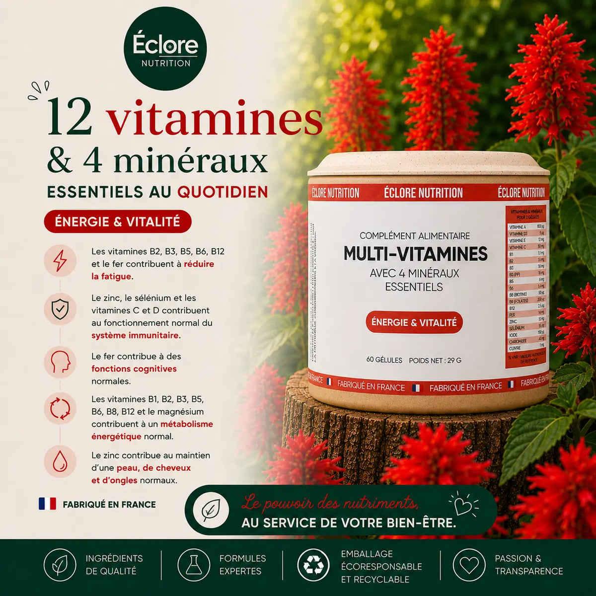 Complexe de vitamines
