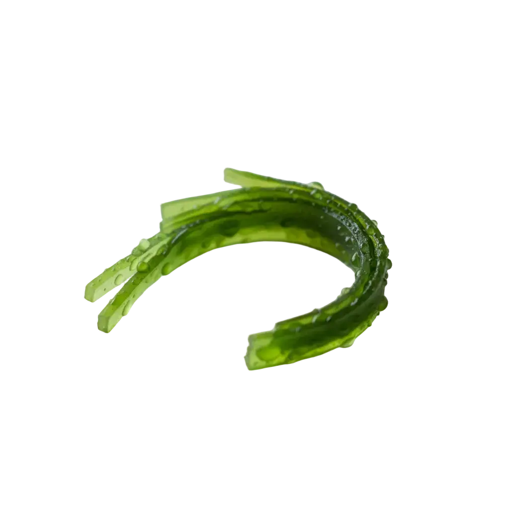 Complément alimentaire Éclore Nutrition à base de wakamé, algue marine riche en nutriments naturels.